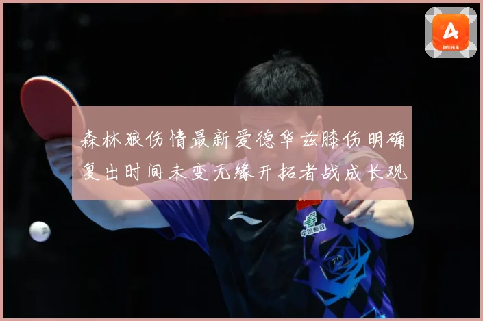 森林狼伤情最新爱德华兹膝伤明确复出时间未变无缘开拓者战成长观察：最新赛事动态与深度分析